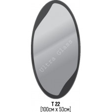 Зеркало Т-22 100х50см с тонированной подложкой